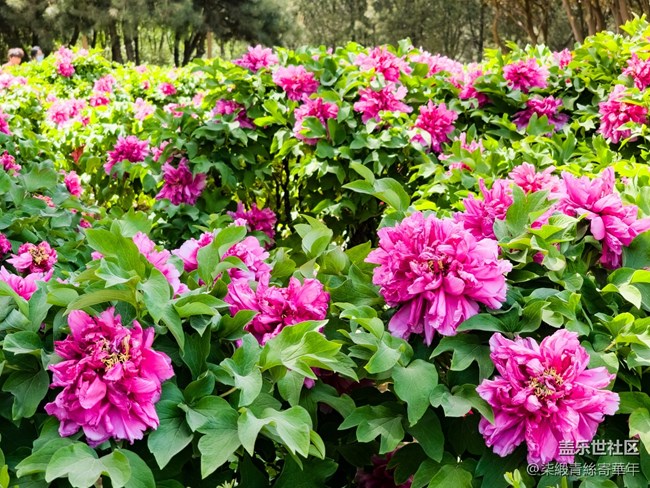 【兩億看神都】鄭州星部落線下活動(dòng)回顧