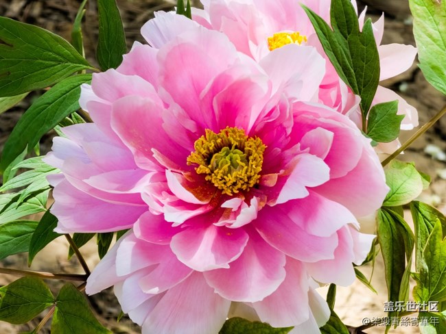 【兩億看神都】鄭州星部落線下活動(dòng)回顧