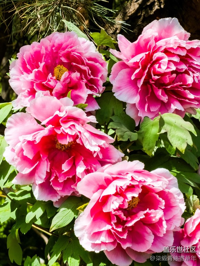 【兩億看神都】鄭州星部落線下活動(dòng)回顧