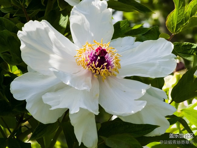 【兩億看神都】鄭州星部落線下活動(dòng)回顧