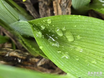 【拍有創(chuàng)意】+隨手一拍