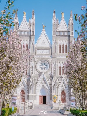 Galaxy S23 Ultra  教堂春色