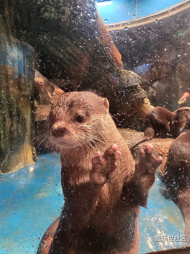 海洋王國線下攝影活動