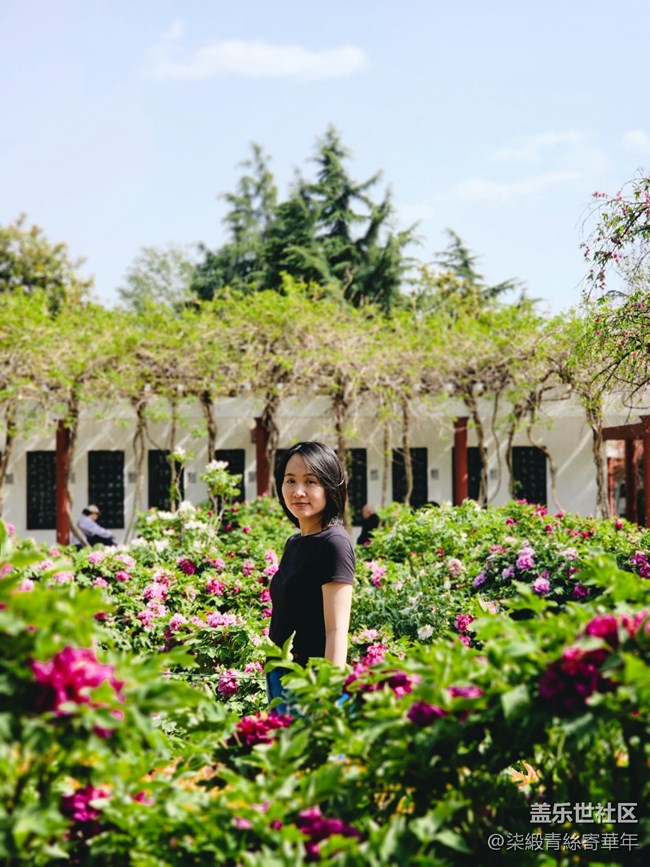 【兩億看神都】鄭州星部落線下活動(dòng)回顧