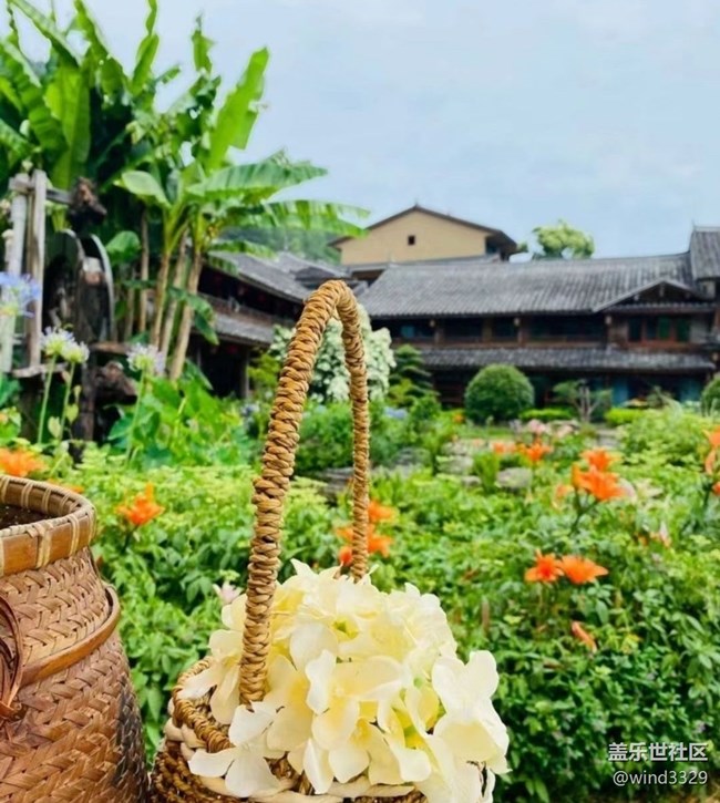 【春色撩人】外出