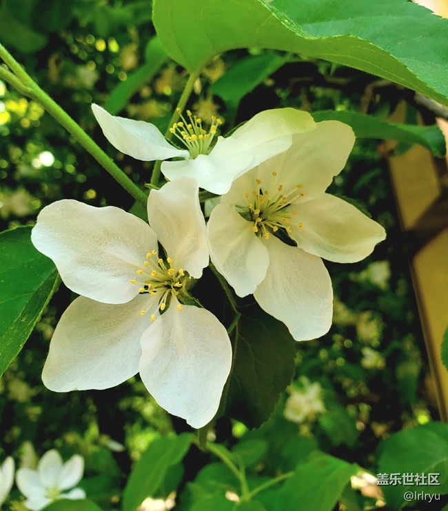 【春日像素解碼報(bào)告】+陽光下的春景