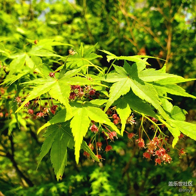 【春日像素解碼報(bào)告】+陽光下的春景