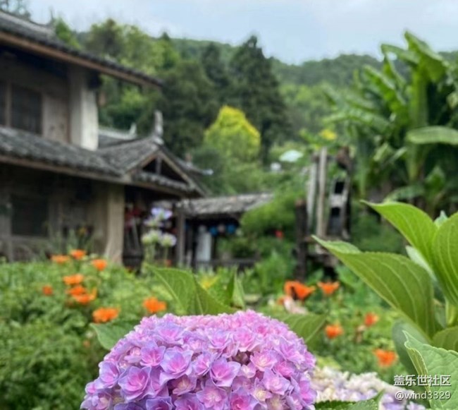 【春色撩人】外出