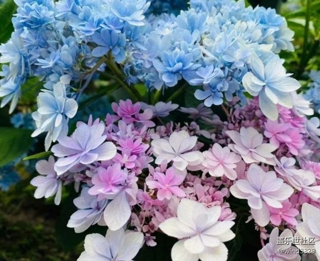 【春色撩人】外出