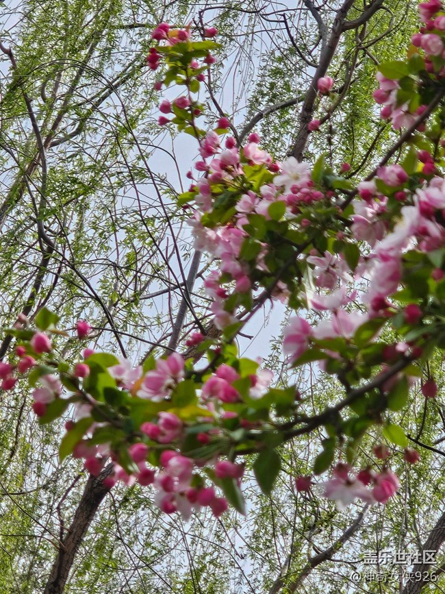 【拈花拾趣】正當(dāng)時
