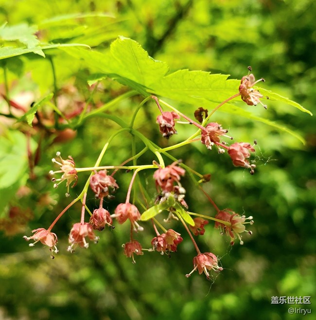 【春日像素解碼報(bào)告】+陽光下的春景