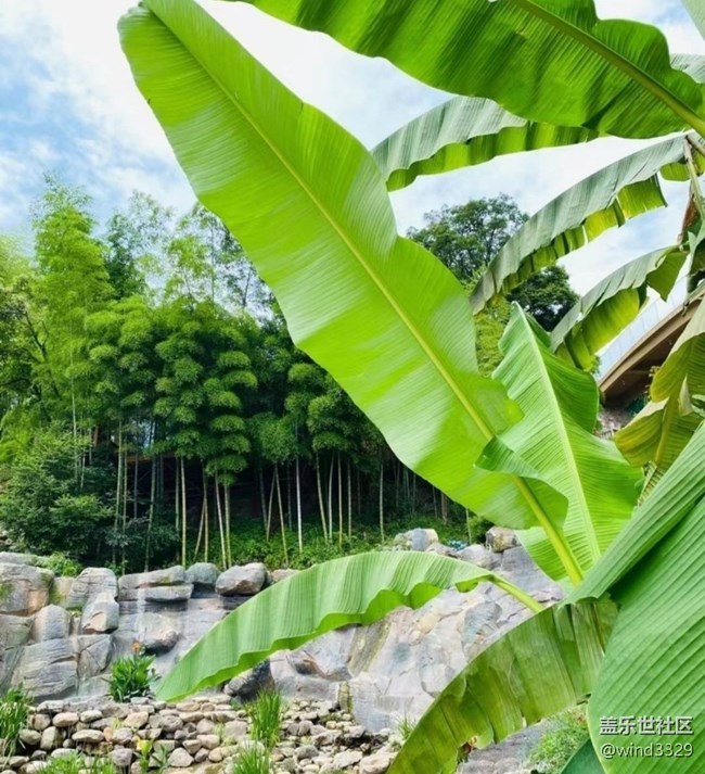 【春色撩人】外出