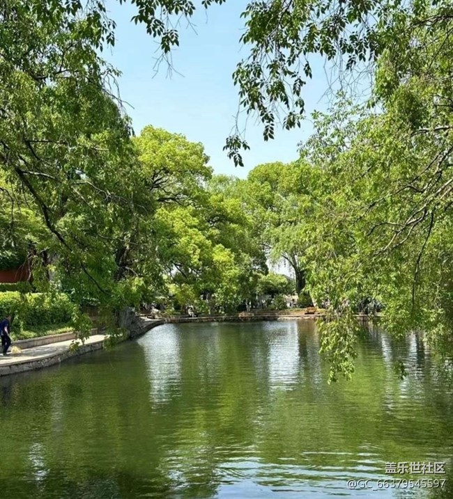 【春日盛景】游玩