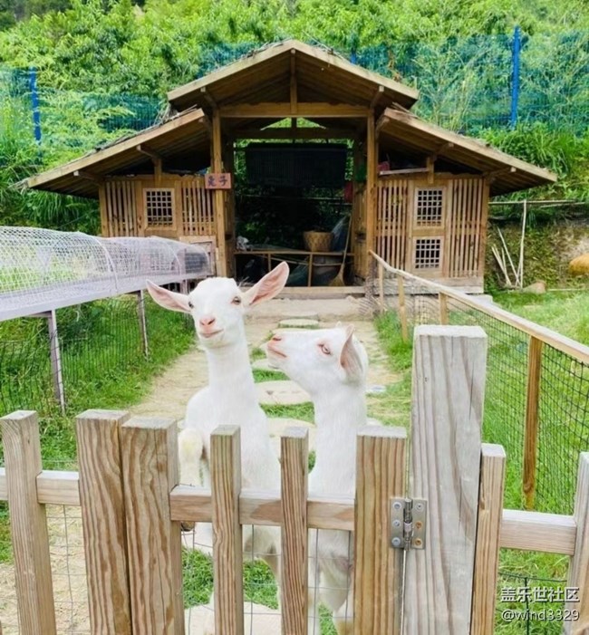 【春色撩人】外出