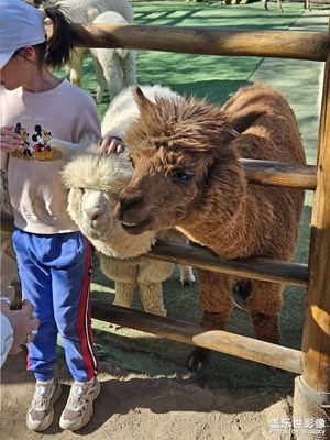 【拍有創(chuàng)意】+隨拍