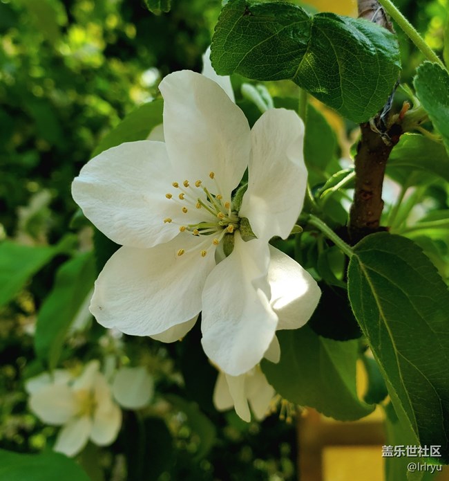 【春日像素解碼報(bào)告】+陽光下的春景