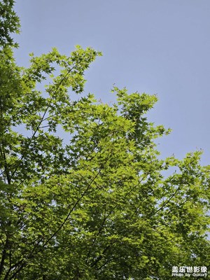 【拍有創(chuàng)意】+園區(qū)隨拍