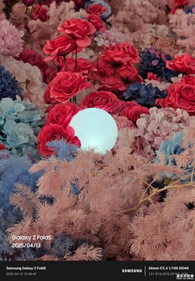 【拍有創(chuàng)意】姹紫嫣紅的世界