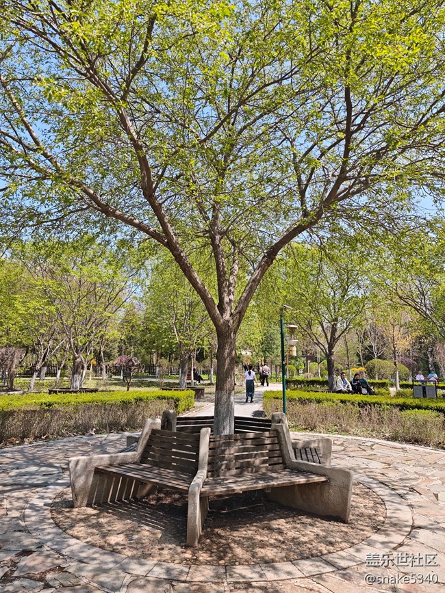 回顧，樹木標本園