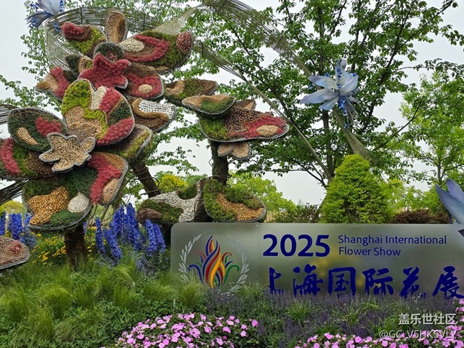 【牡丹園線下攝影活動】+三星手機(jī)的色彩表現(xiàn)力