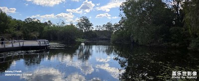 Gold Coast 黃金海岸地區(qū)植物園

