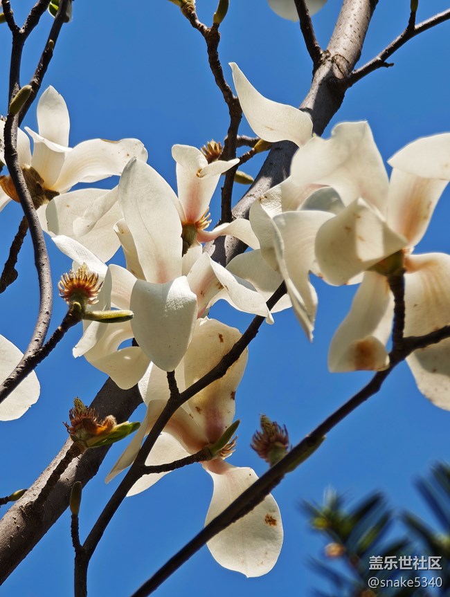 回顧，樹木標本園