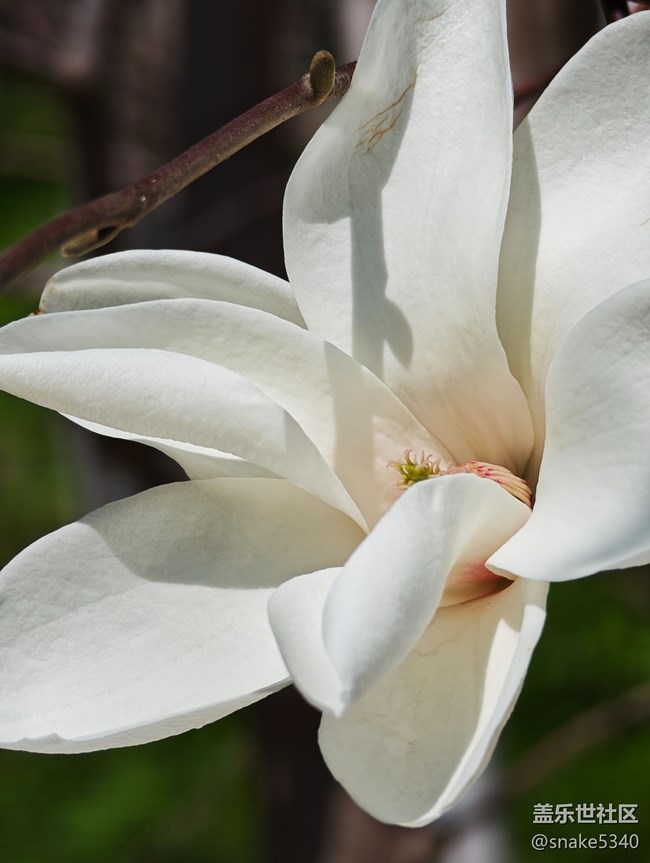 回顧，樹木標本園