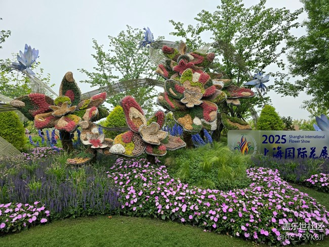 【牡丹園線下攝影活動(dòng)】+花開富貴