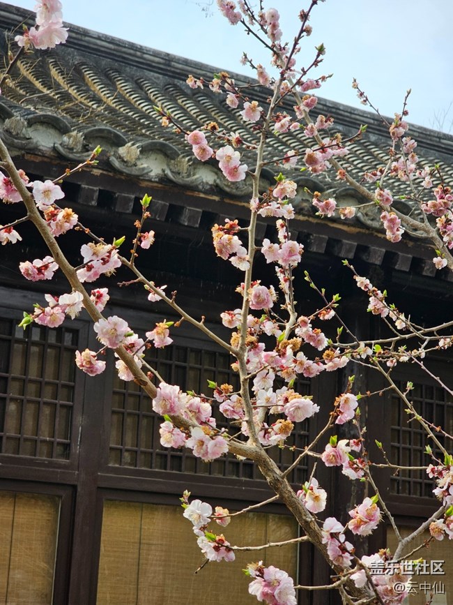 【拈花拾趣】重疊