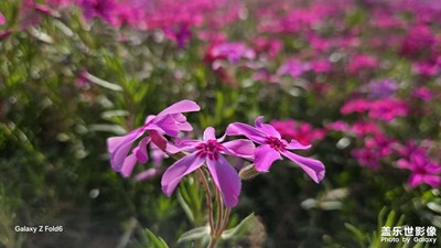 [拍有創(chuàng)意]+休閑隨拍