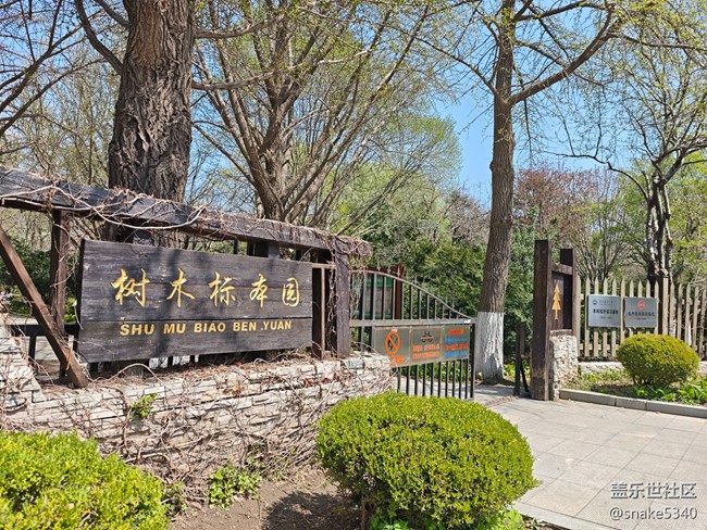 回顧，樹木標本園