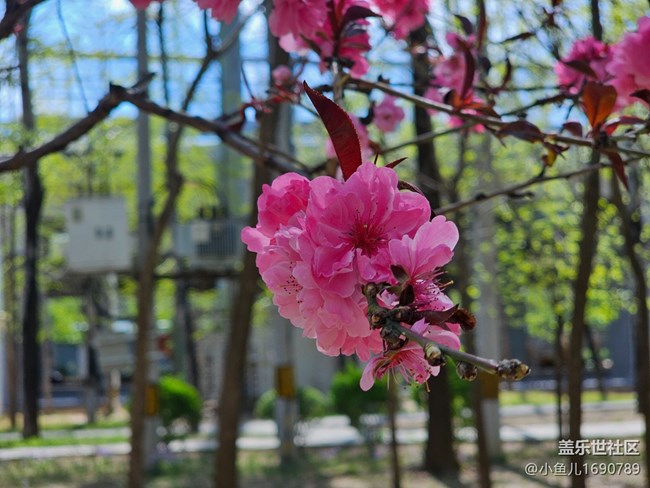 【拈花拾趣】風(fēng)景