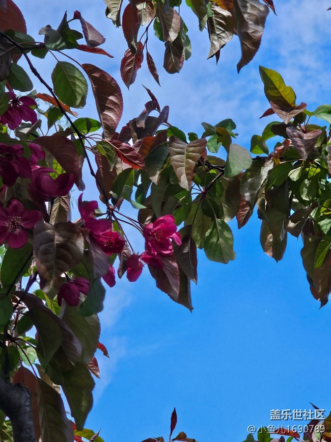 【拈花拾趣】風(fēng)景