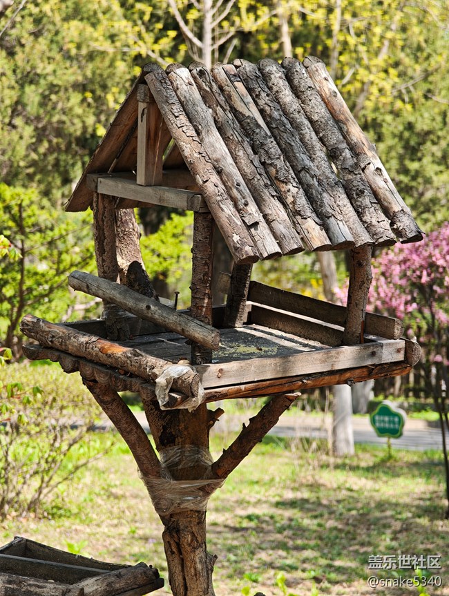 回顧，樹木標本園