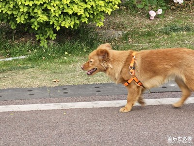 【拍有創(chuàng)意】到處拍一拍