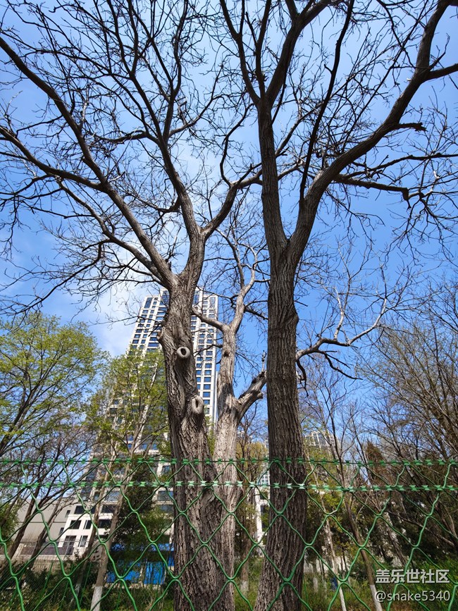 回顧，樹木標本園