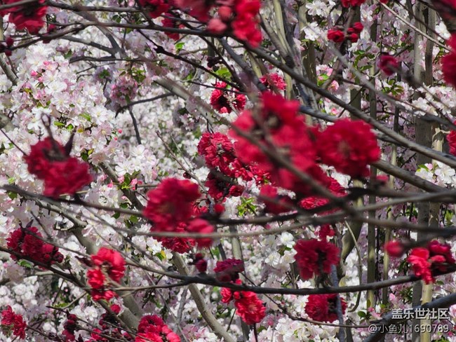 【拈花拾趣】風(fēng)景