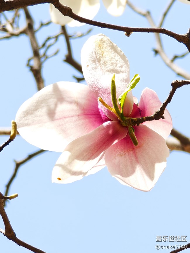 回顧，樹木標本園