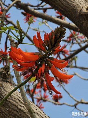 【市井長(zhǎng)巷】公園漫步