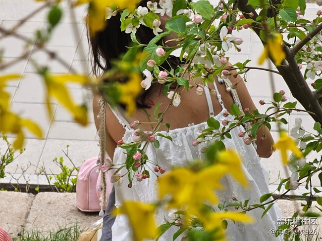 【拈花拾趣】花旁的美人