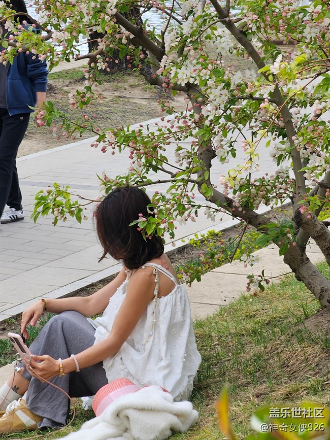【拈花拾趣】花旁的美人