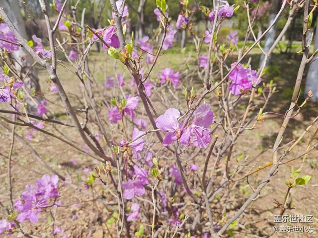 沈陽市園林植物標本園行行攝攝活動回顧