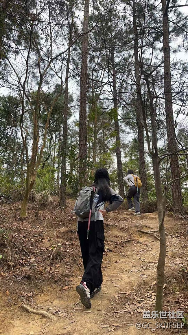 【日常的變遷】山林徒步，邂逅自然之美