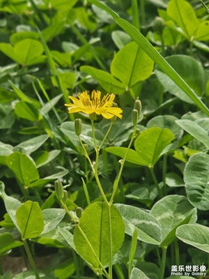 【拍有創(chuàng)意】+微觀隨拍