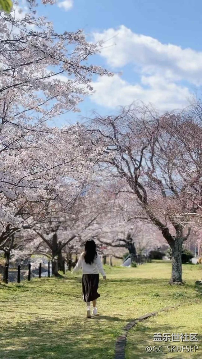 【春光爛漫ing】春日海濱，邂逅美好
