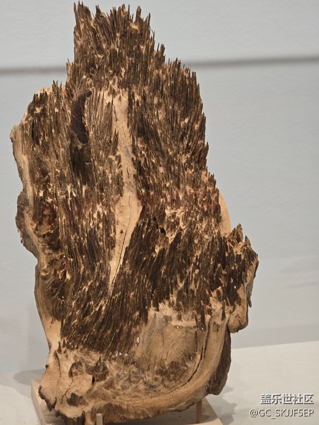 【三星鏡頭下的非遺】探尋非遺瑰寶，領(lǐng)略嶺南風(fēng)情