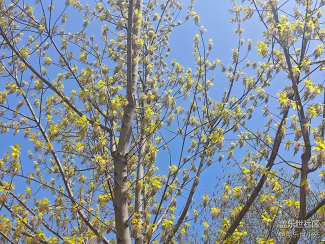 沈陽市園林植物標本園行行攝攝活動回顧