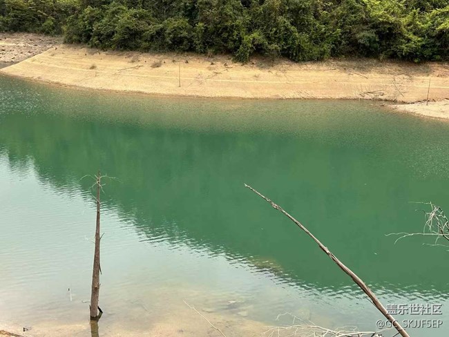 【日常的變遷】山林徒步，邂逅自然之美