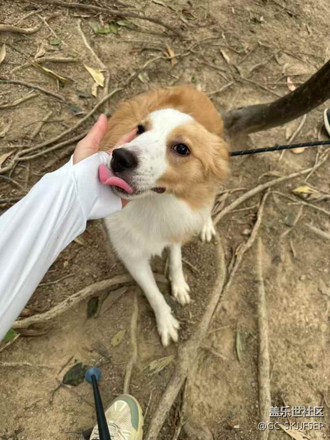 【日常的變遷】山林徒步，邂逅自然之美