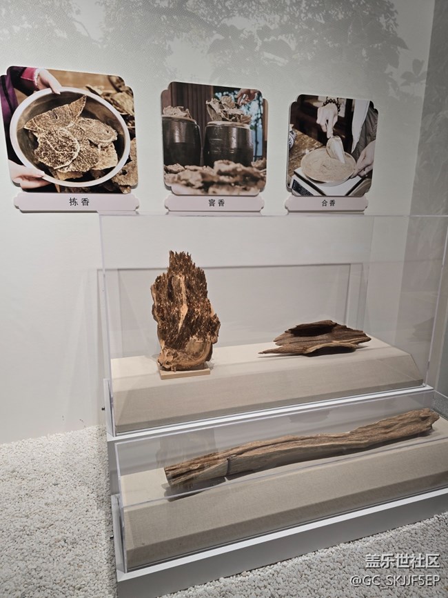 【三星鏡頭下的非遺】探尋非遺瑰寶，領(lǐng)略嶺南風(fēng)情